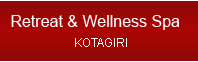 Wellnesspa
